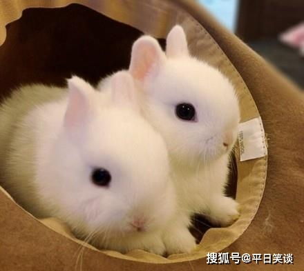 约会神操作 从“朋友”到“搂肩”的爆笑进阶指南